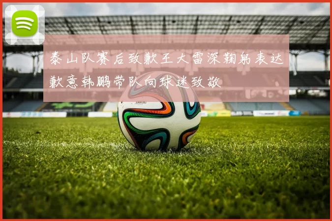 泰山队赛后致歉王大雷深鞠躬表达歉意韩鹏带队向球迷致敬